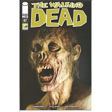 The Walking Dead #87 SDCC variant