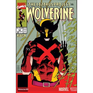 Wolverine 29