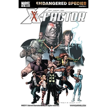 X-factor (3ik széria) #23