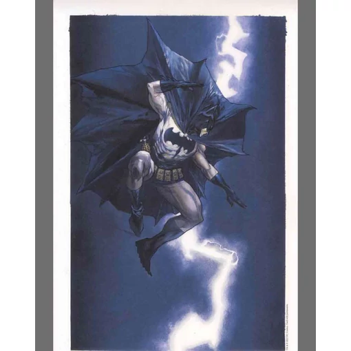 Simone Bianchi - Batman:Dark Knight Returns dedikált, sorszámozott print