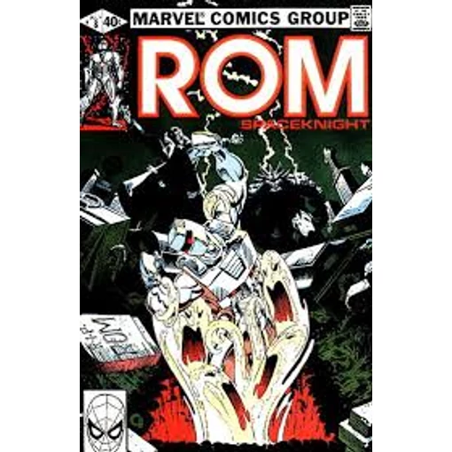 Rom #8