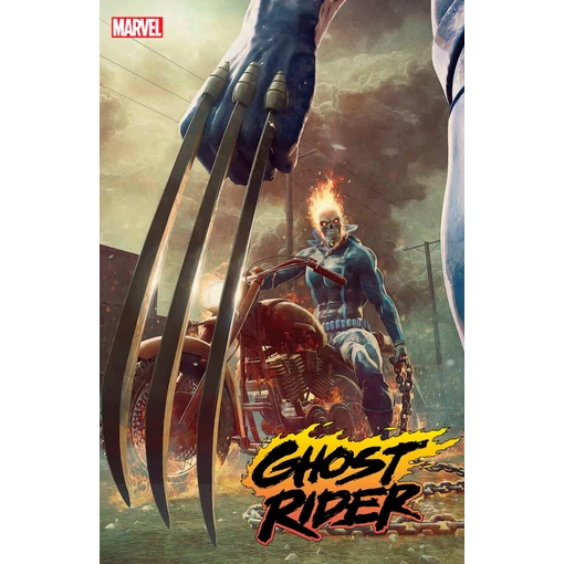 Ghost Rider #17 Bjorn Barends variant