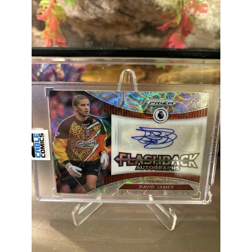 Panini Liverpool Flashback David James auto, dedikált kártya