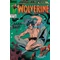 Marvel Comics Presents #41