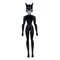 DC Direct Action Figure The New Batman Adventures Catwoman 15 cm