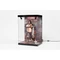 SHINSAI Acrylic Display Case with Lighting Inbina Rasethuhime Saki M Edition 39 cm